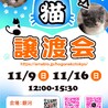 11/16駒込　イケメン❤️進次郎くん サムネイル7