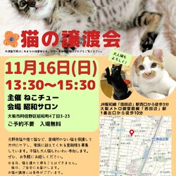 ねこチュー第28回猫の譲渡会