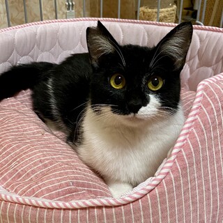 ぱっちりお目々の女の子