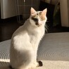 お。か。だ。