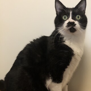 11歳の元気な男の子