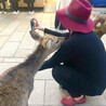 港区お兄さん
