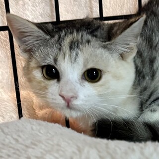 11/16千駄木で待ってます❤️ プリン3ヶ月