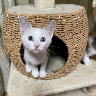 活発でとても可愛い♡ゆばちゃん