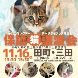 みなとねこ保護猫譲渡会＠三田NNホール＆スペース