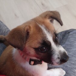 ぼんちゃん、絶望の初お風呂