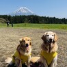 お出掛け大好き　Noah＆Miri