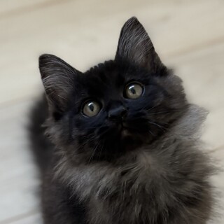 11/24高田馬場★ヨルくん★マイペースboy