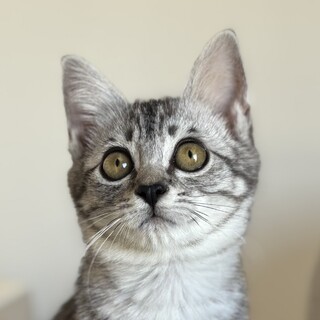 11/24高田馬場★ノンちゃん★陽気な天使