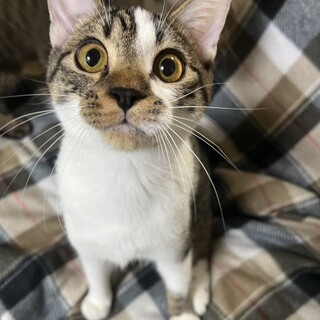 ෆ⃛仲良し兄弟ෆ⃛ぽてくん