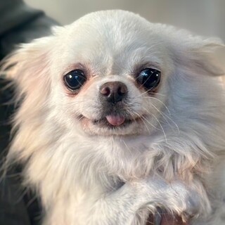 25-W256　甘えん坊の可愛過ぎる女子♪