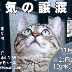 本気の譲渡会 サムネイル2