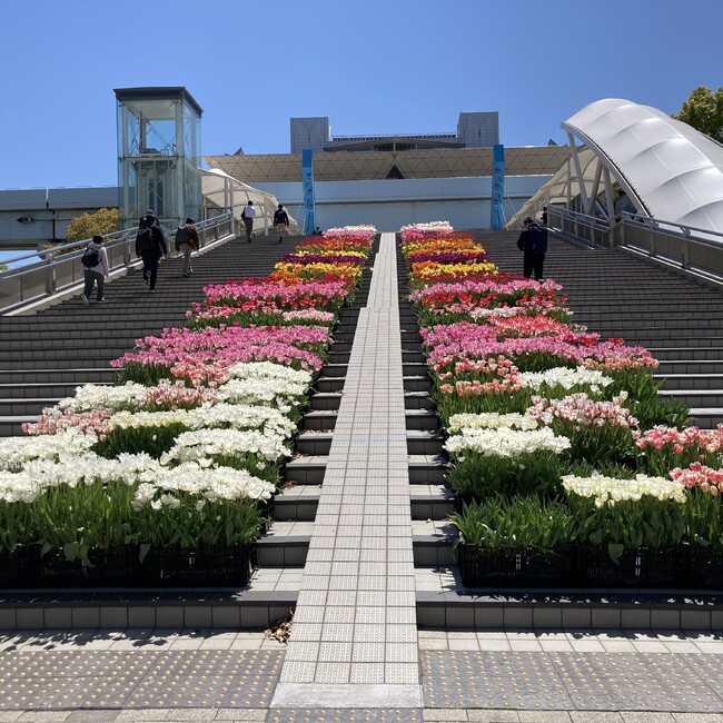 横浜ジャックとテトのカバー写真