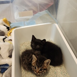 一旦、中断します