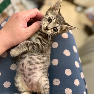 毎日運動会⭐︎元気印の青子ちゃん