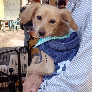 ひふみに素敵な家族が出来ました