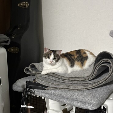 の写真