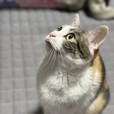 の写真