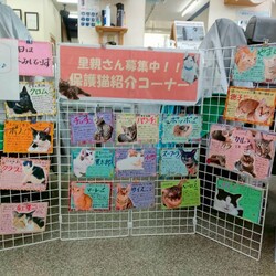 まだら家 サムネイル3