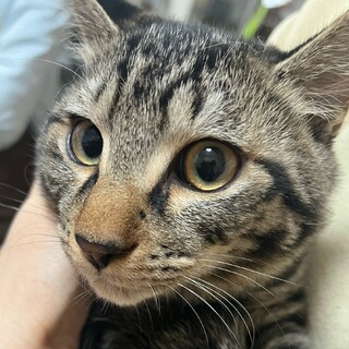 里親決定★カヲル君