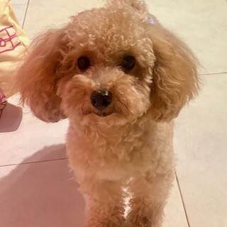 25-M122 短足可愛いタイニーサイズ