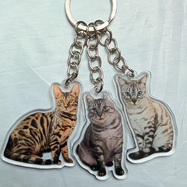 Kumiko.Bのカバー写真