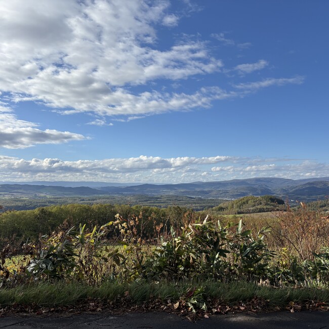 もちむちのカバー写真