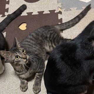 小柄のお嬢さん♡海(マリン)ちゃん