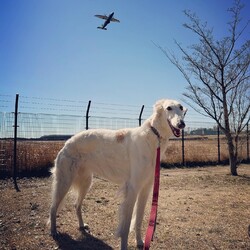 武蔵野の森公園
