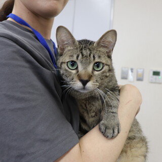 人懐っこさMAXおっとりマイペースなほっぷくん