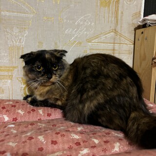 おっとり可愛いむぅかちゃん♡