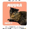 おっとり可愛いむぅかちゃん♡ サムネイル2