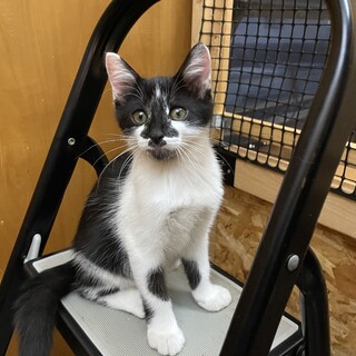 好奇心旺盛！ウインナーくん☆