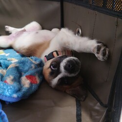 やらかしてしまいました……