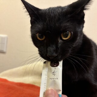 【3/29東日本橋】好奇心旺盛♡たけしくん