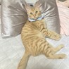 リオ