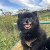 おっとりで控えめななすびちゃん♡ サムネイル5
