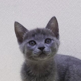 11/24高田馬場★みことちゃん★元気甘えん坊女子