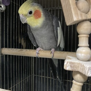 幸せにしてくださる方を探しております。