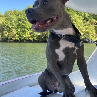 里親決定！ありがとうございました