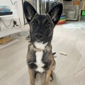 全力で甘えさせてくれる家族探してます！！