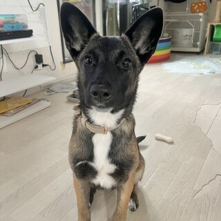 全力で甘えさせてくれる家族探してます！！