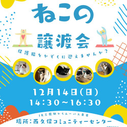 むさしの地域猫の会　譲渡会