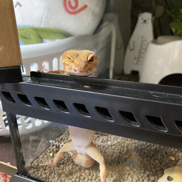 の写真