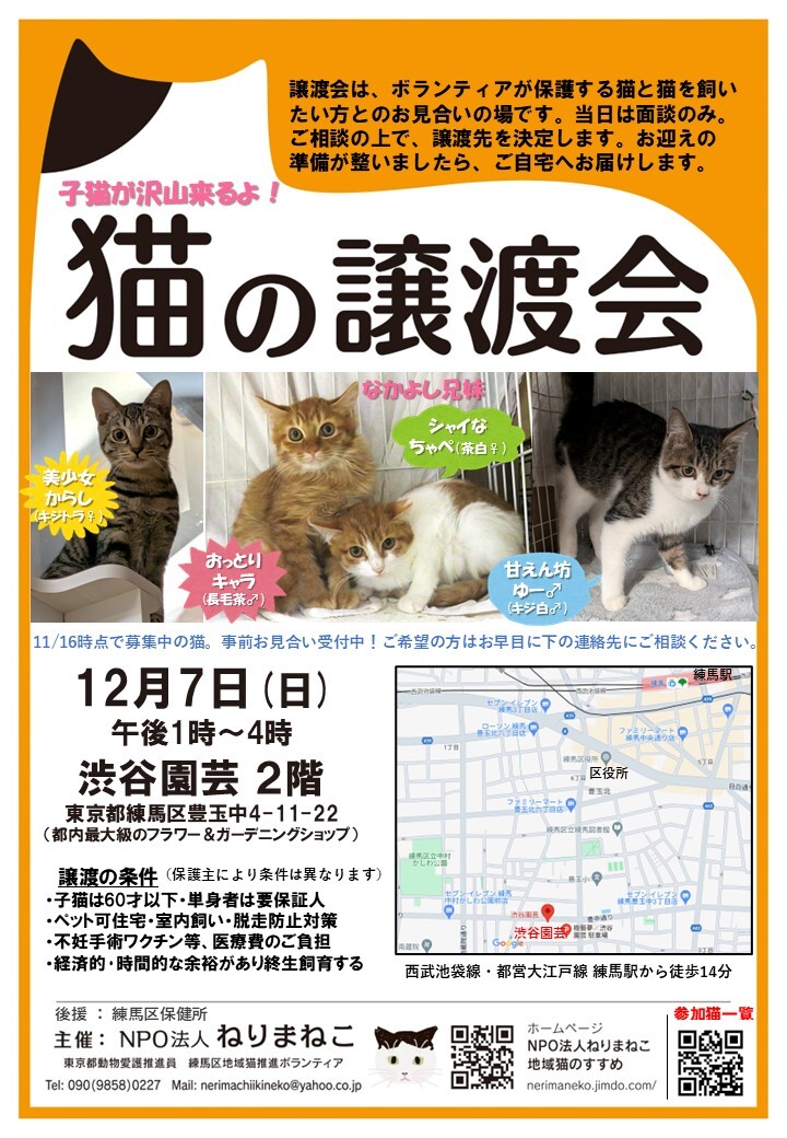 猫の譲渡会 練馬区・渋谷園芸」（NPO法人ねりまねこのイベント #27442