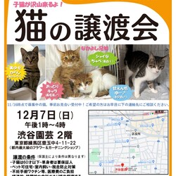猫の譲渡会　練馬区・渋谷園芸