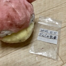 乳歯をゲットしました