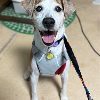 ぬしくんの家族募集