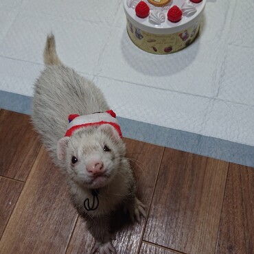 happy birthday じゅんちゃーん！