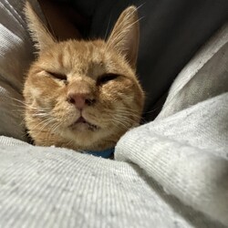 オヅノ氏、捕獲・拉致から一周年！